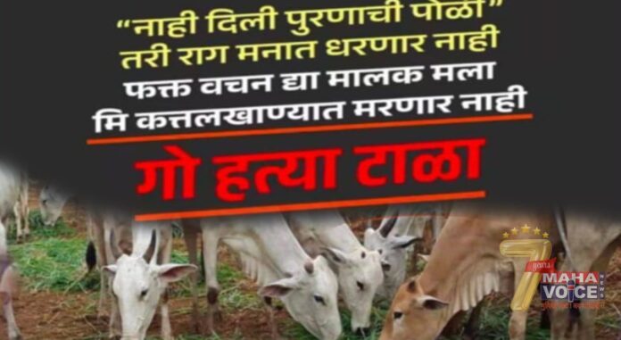 Go save cow, save our country..!