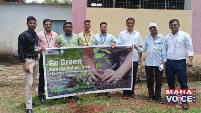 HDFC Bank employees planted saplings