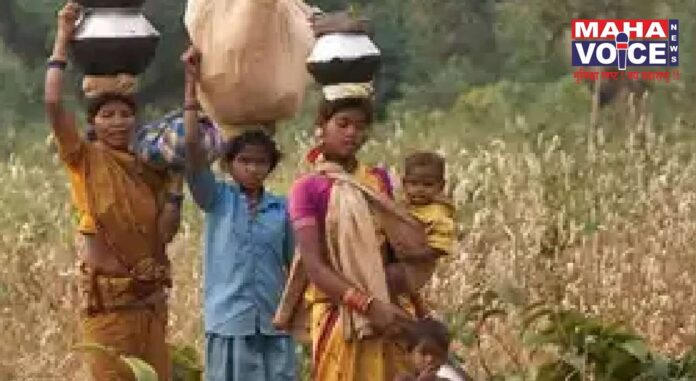 adivasi