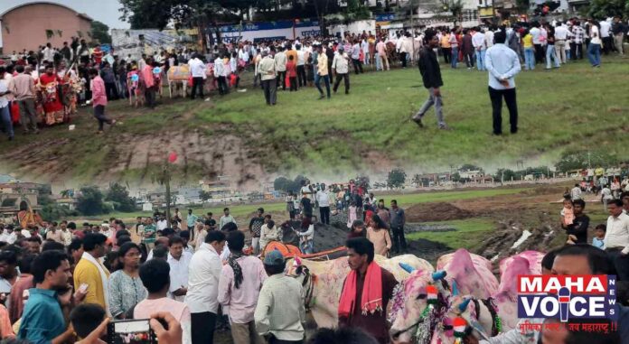 Pola celebration at Nehru Maidan